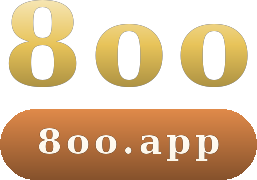 8oo logotipo